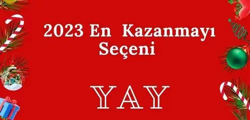 yıllık10 (9).webp