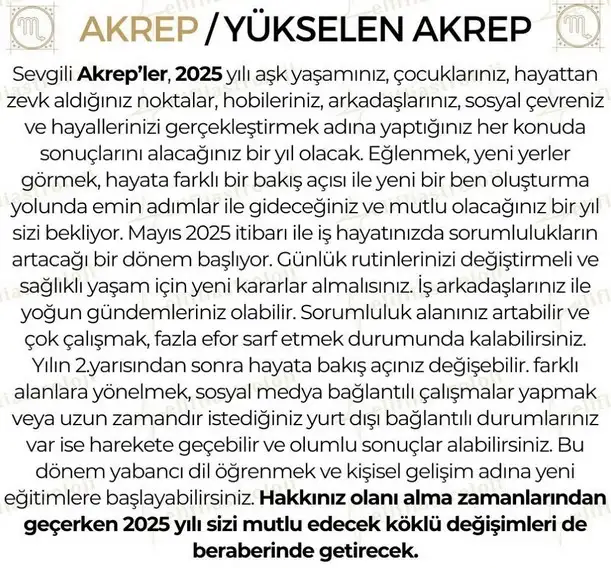 yıllık10 (9).webp