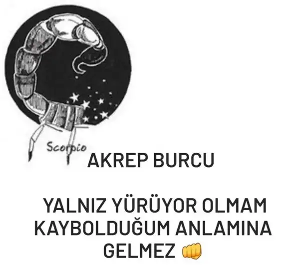 yıllık11 (10).webp
