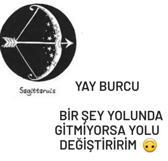 yıllık11 (11).webp