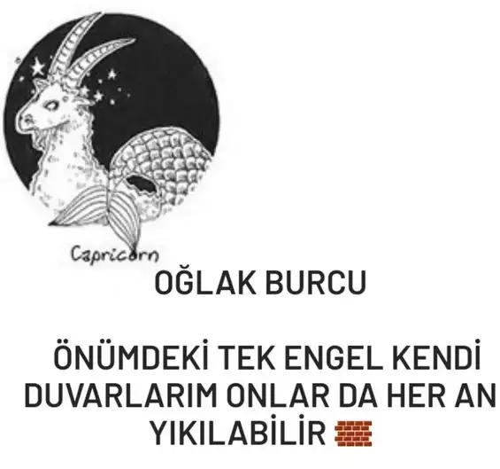 yıllık11 (12).webp