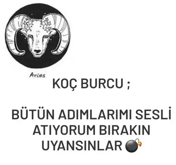 yıllık11 (3).webp