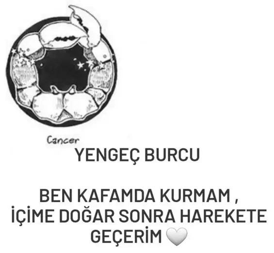 yıllık11 (6).webp
