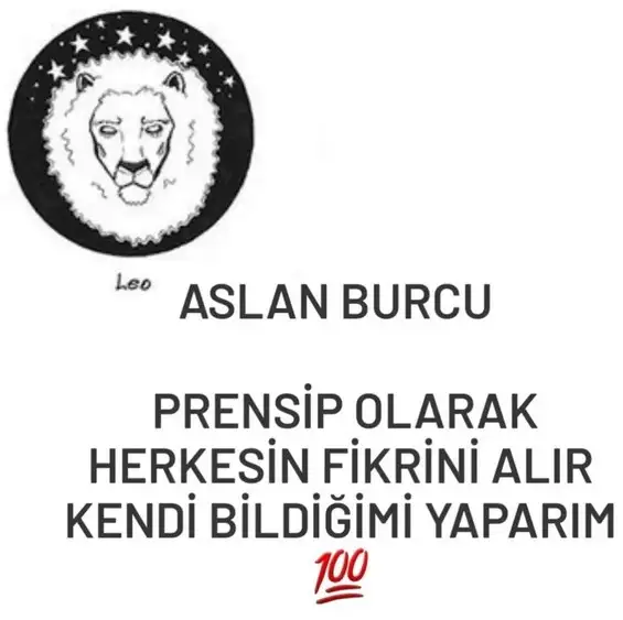 yıllık11 (7).webp