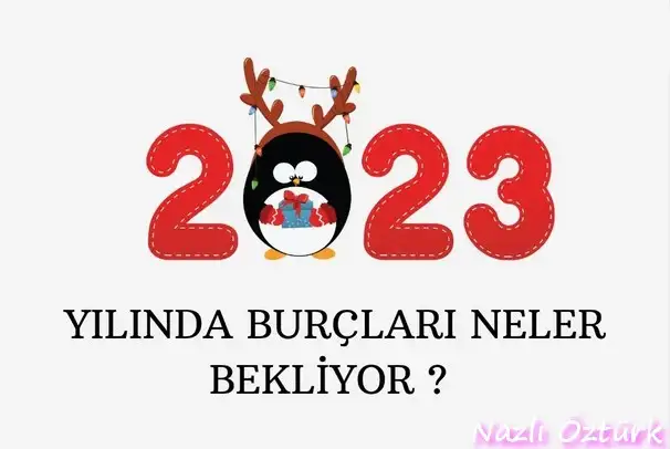 yıllık12 (1).webp