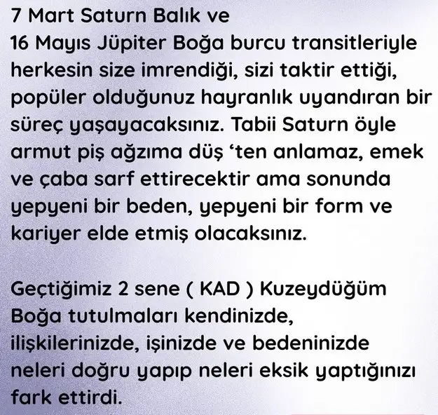 yıllık12 (12).webp