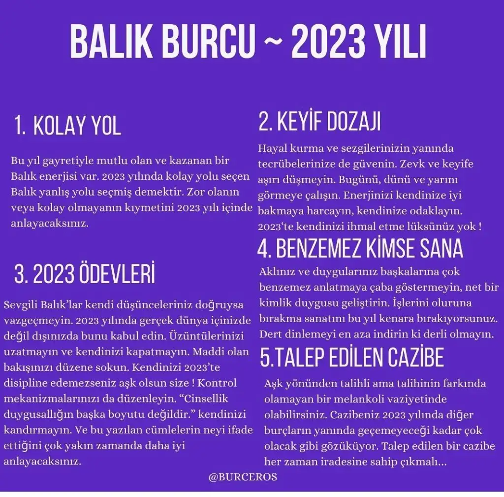 yıllık12 (13).webp