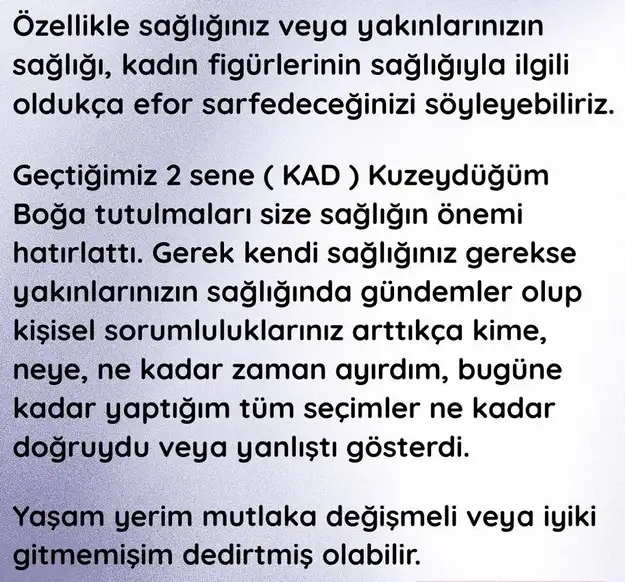 yıllık12 (20).webp