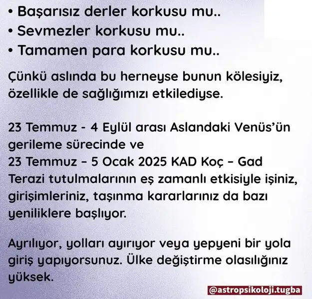 yıllık12 (23).webp