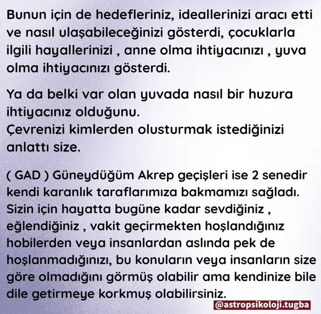 yıllık12 (27).webp