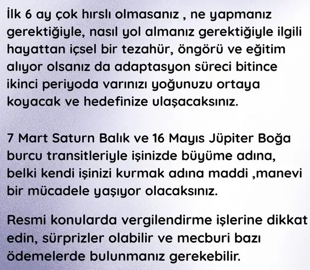 yıllık12 (32).webp