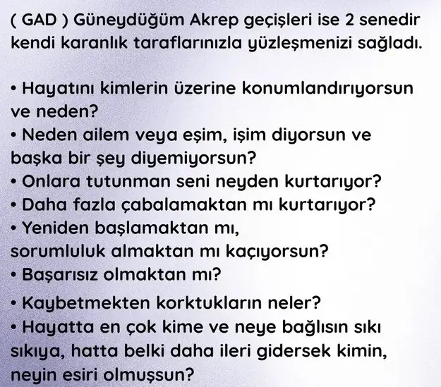 yıllık12 (35).webp