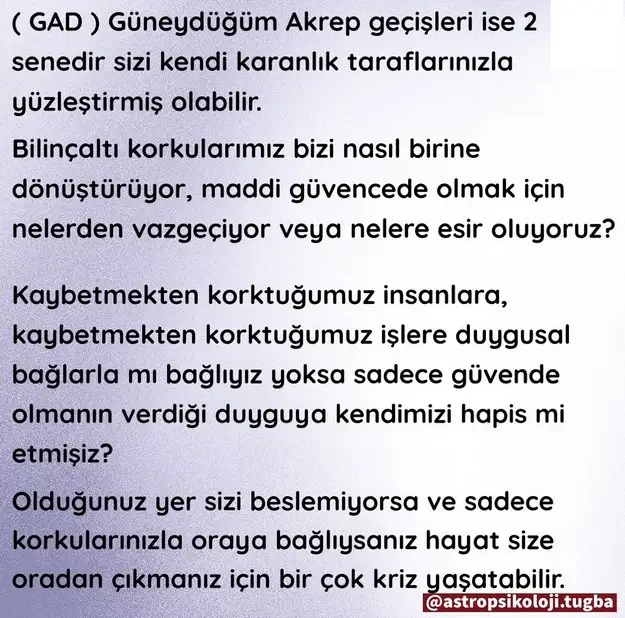 yıllık12 (64).webp