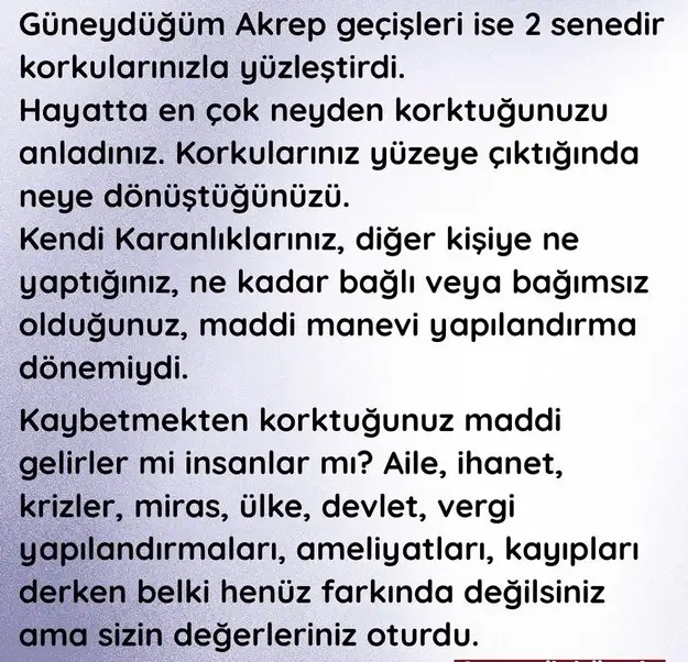 yıllık12 (8).webp