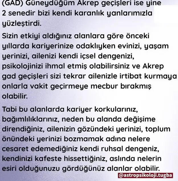 yıllık12 (82).webp