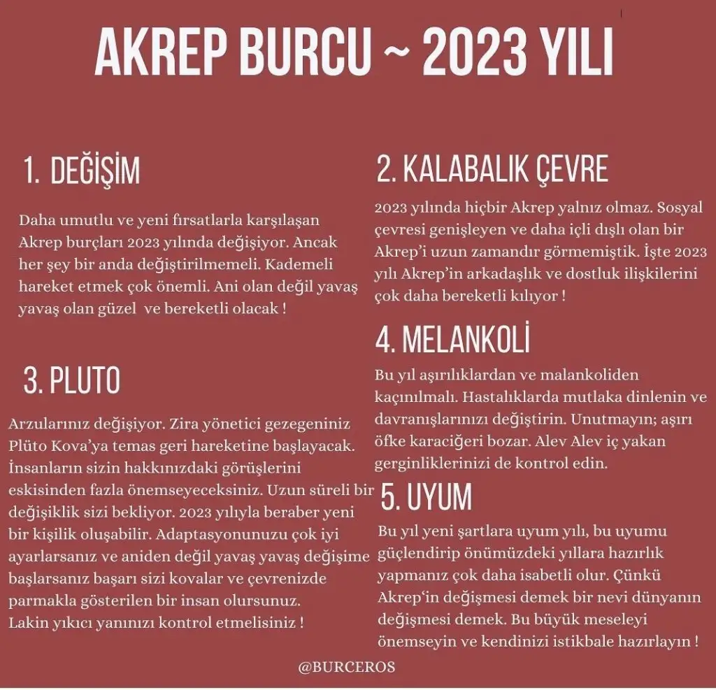 yıllık12 (9).webp