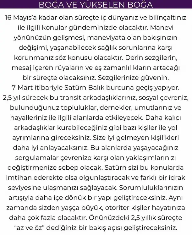yıllık13 (5).webp