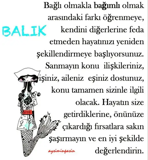 yıllık14 (12).webp