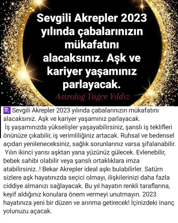 yıllık15 (8).webp