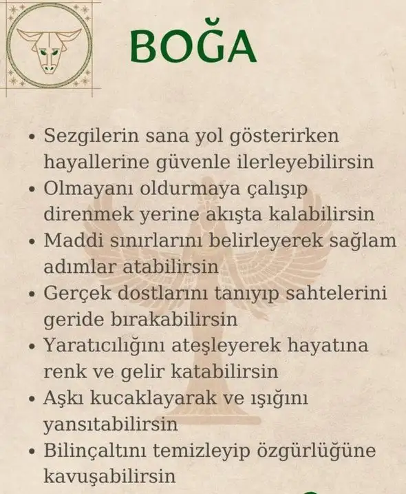 yıllık18 (3).webp