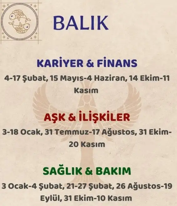 yıllık19 (13).webp