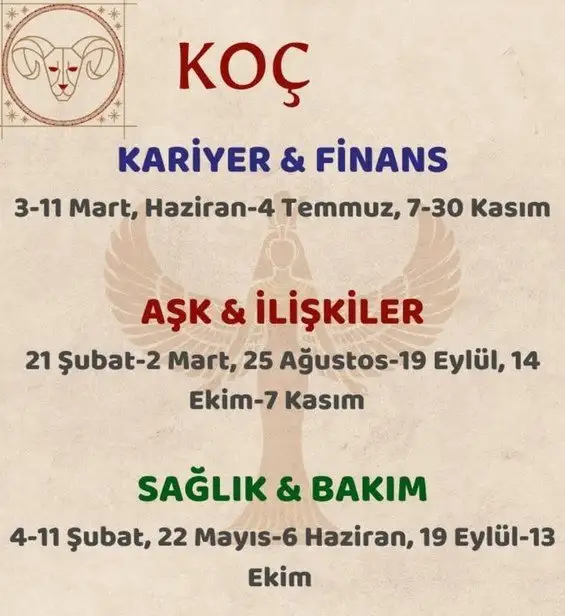 yıllık19 (2).webp