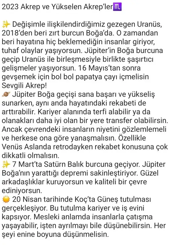 yıllık19 (23).webp