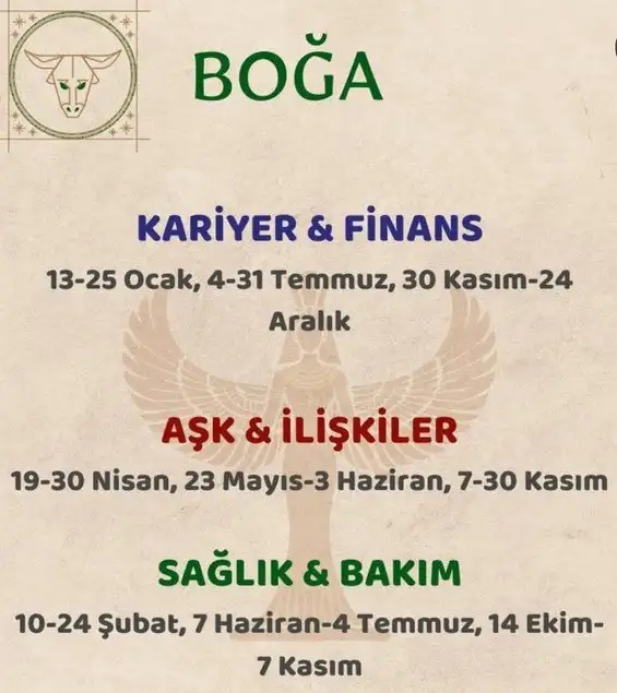 yıllık19 (3).webp