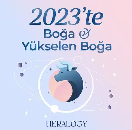 yıllık19 (4).webp