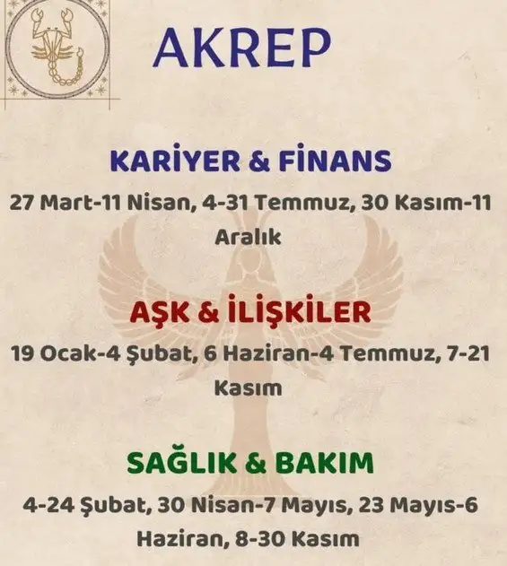 yıllık19 (9).webp
