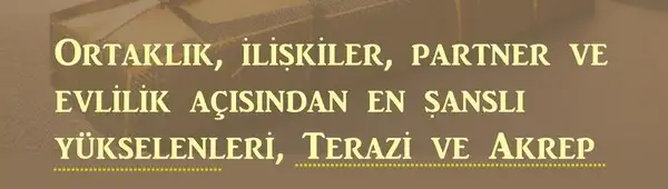 yıllık2 (3).webp