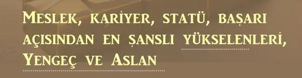 yıllık2 (4).webp