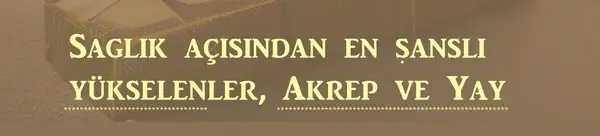 yıllık2 (6).webp