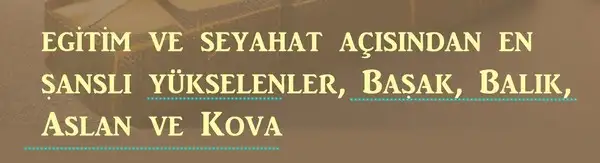 yıllık2 (8).webp