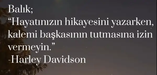 yıllık21 (13).webp