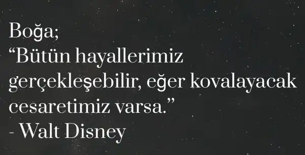 yıllık21 (3).webp
