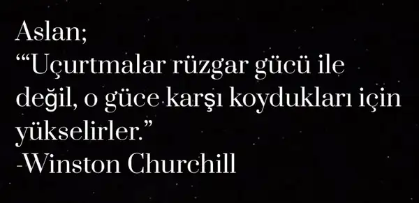 yıllık21 (6).webp