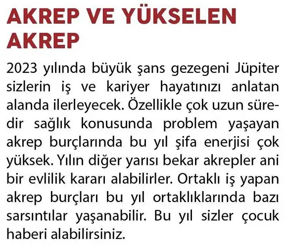 yıllık22 (10).webp
