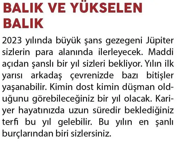 yıllık22 (14).webp