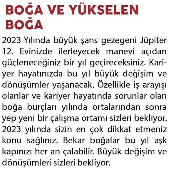 yıllık22 (4).webp