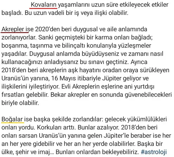 yıllık25 (2).webp