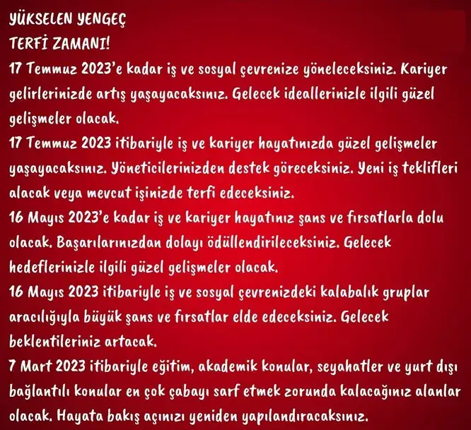 yıllık27 (5).webp