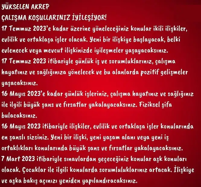 yıllık27 (9).webp