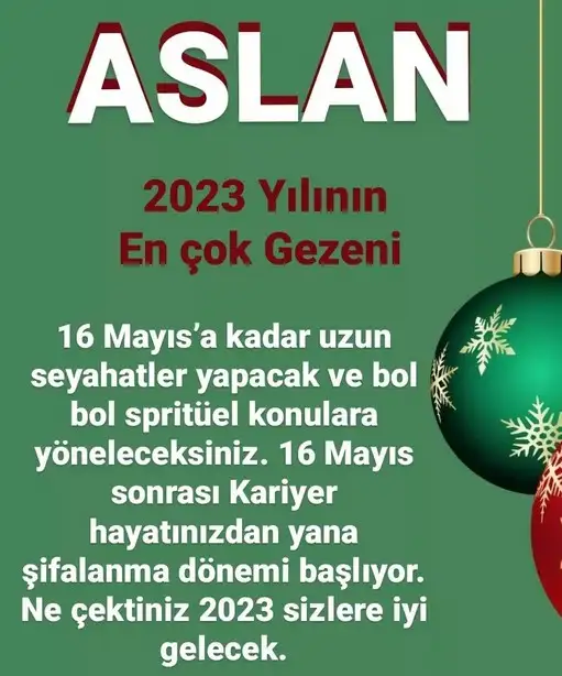 yıllık28 (5).webp