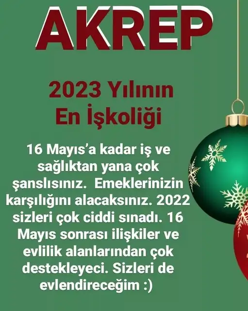 yıllık28 (8).webp