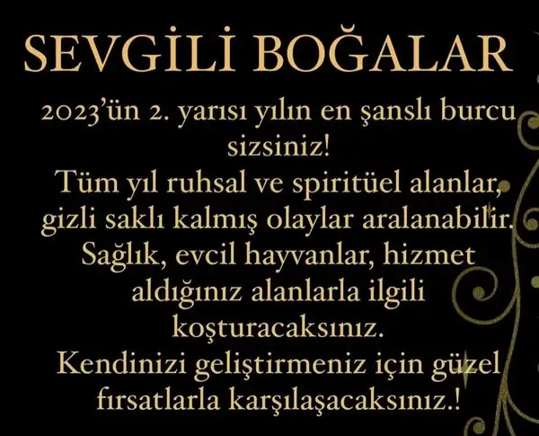 yıllık29 (3) - Kopya.webp