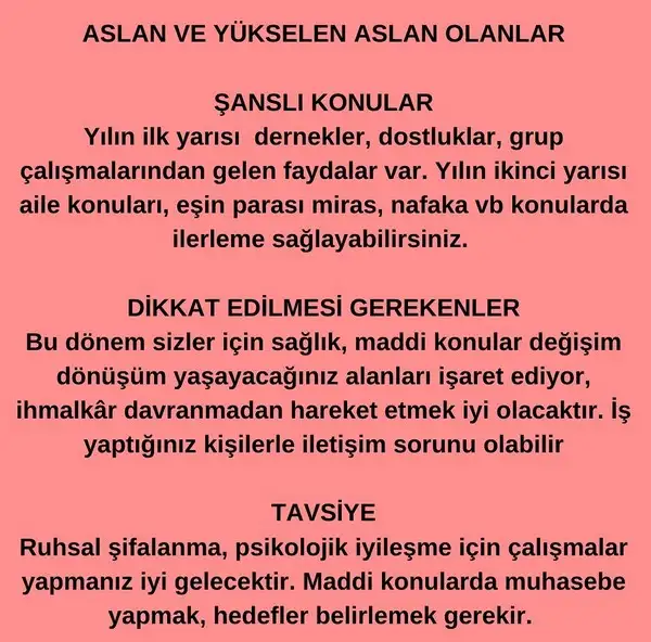 yıllık3 (6).webp