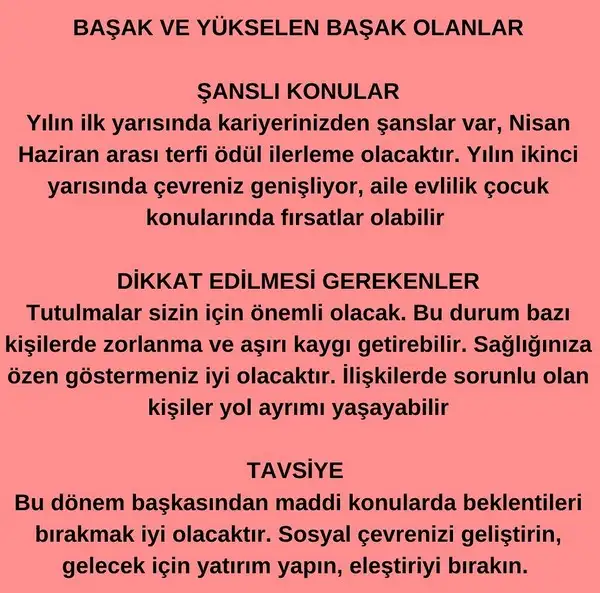 yıllık3 (7).webp