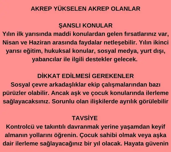 yıllık3 (9).webp