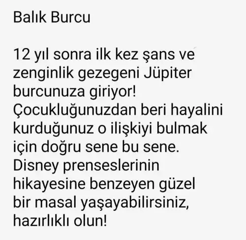 yıllık30 (3).webp